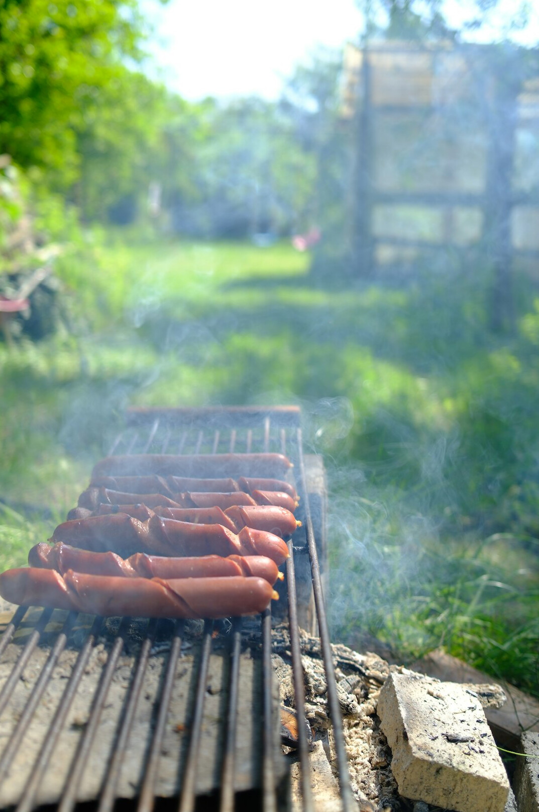 family barbecue outdoors